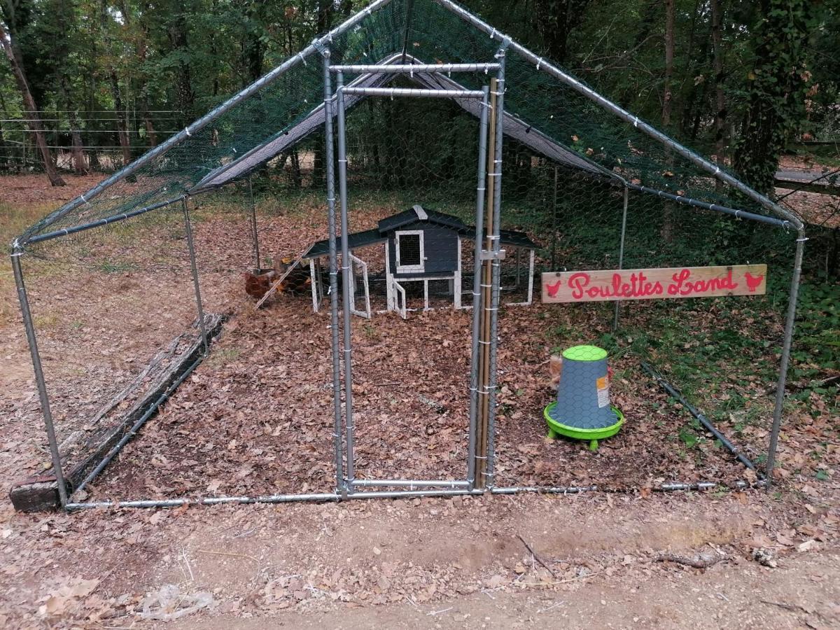 8-Gite 5 Personnes Avec Piscine Saint-Aubin-de-Nabirat Exterior foto